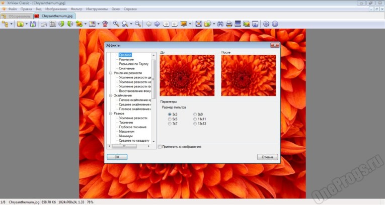 XnView - Скриншот 5